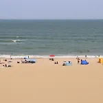 Oceanfront Beach, Sky, & Dolphins