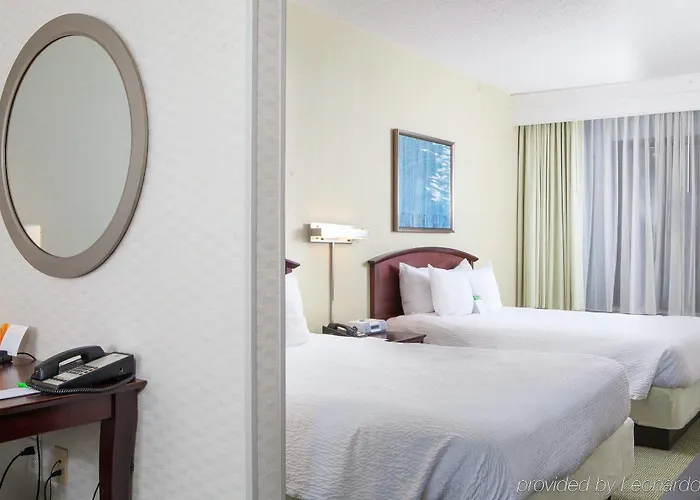 Springhill Suites By Marriott Norfolk Virginia Beach