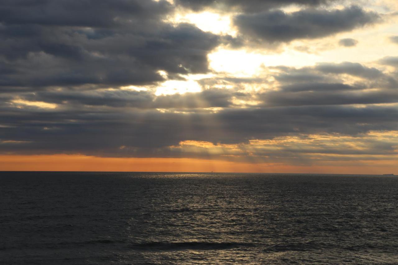 Oceanfront Beach, Sky, & Dolphins *