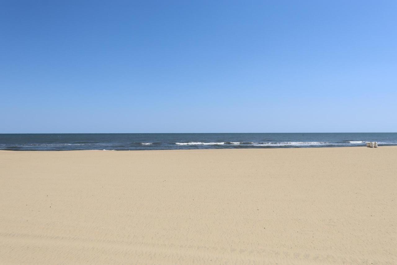 Oceanfront Beach, Sky, & Dolphins Apartment