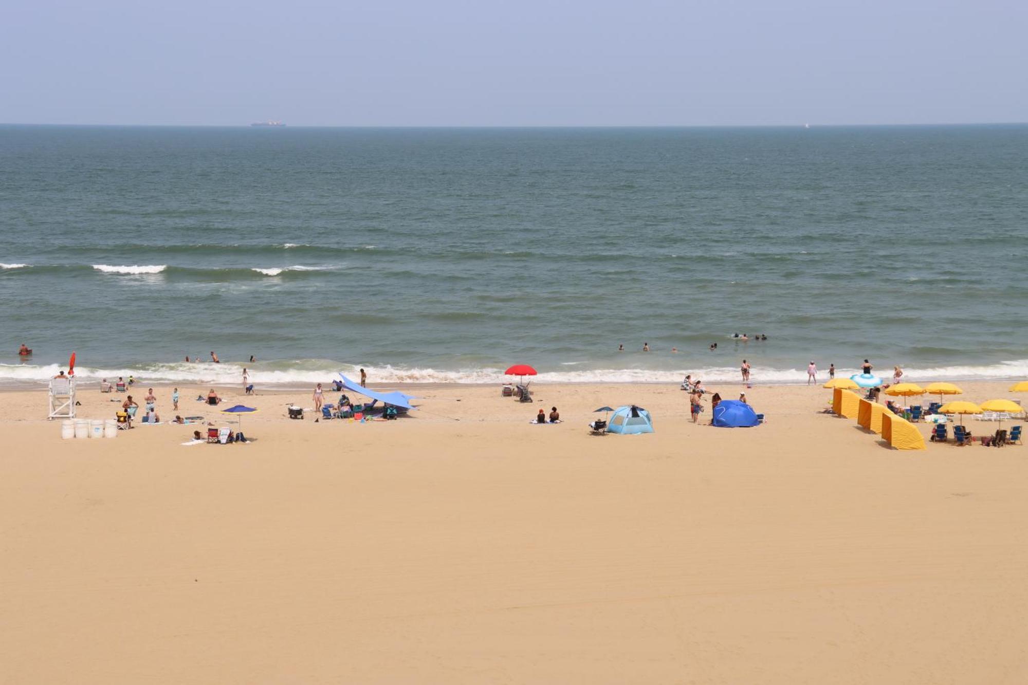 Oceanfront Beach, Sky, & Dolphins Apartment *