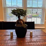 2 Brand New King Size Beds 2 Full Baths Condo!