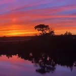 Sunsets & Serenity