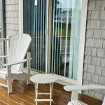 Seaside - Sand Dollar C-103