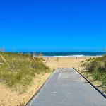 Absolut Paradise