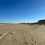 Beach Bird