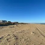 Beach Bird
