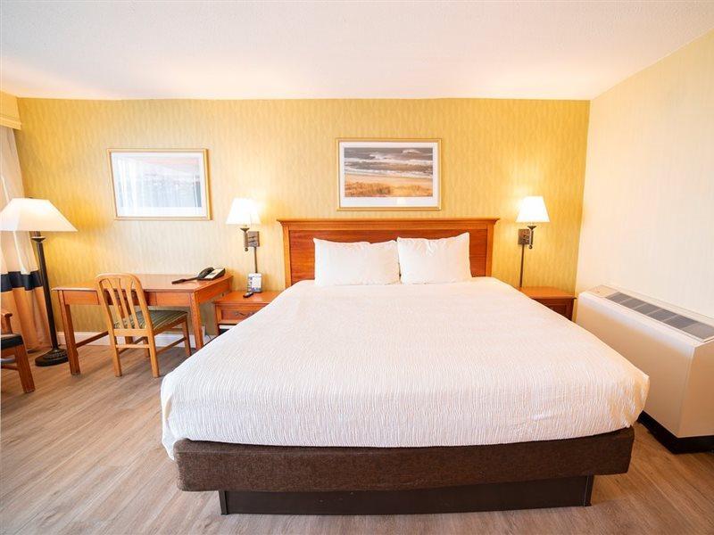 The Oceanfront - Virginia Hotel