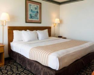 Hotel Seaview