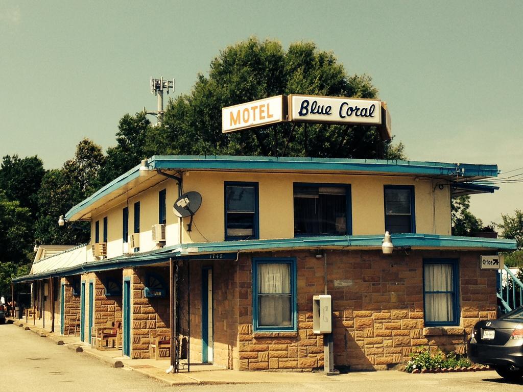 Blue Coral 2*