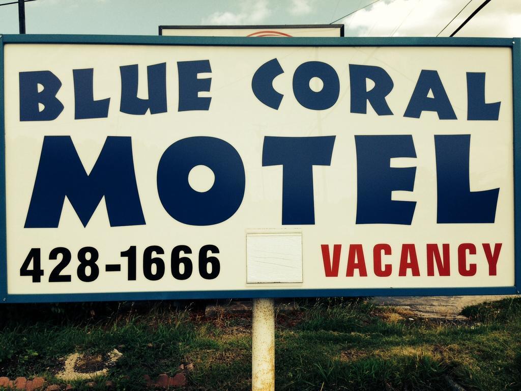 Motel Blue Coral