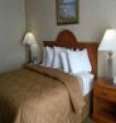 Comfort At The Hotel 2*