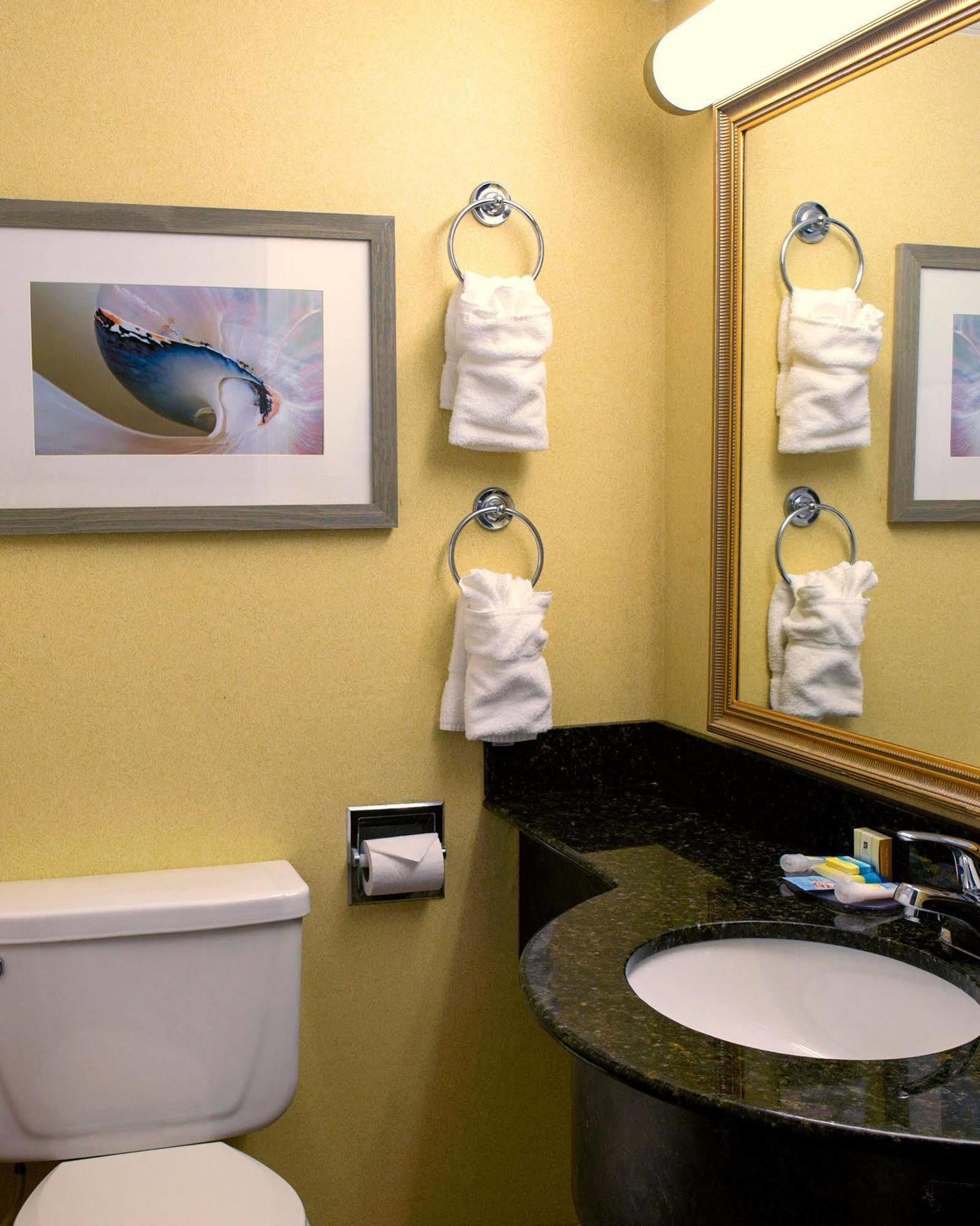 The Oceanfront - Virginia Hotel 3*
