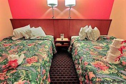 Seashire & Motel 2*